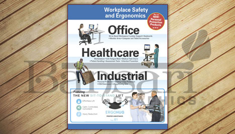 Ergonomics Safety 13